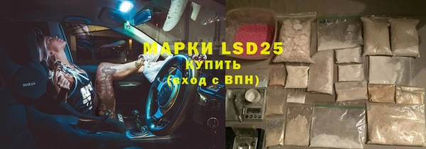прущие грибы Аркадак