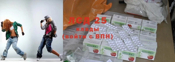прущие грибы Аркадак