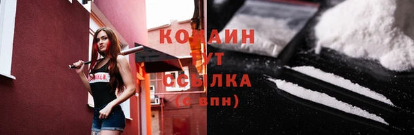 прущие грибы Аркадак