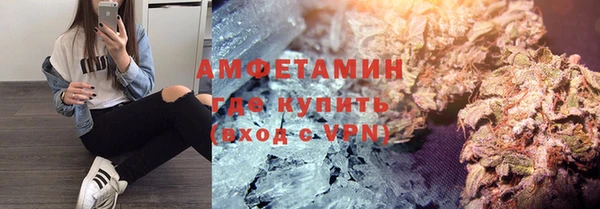 прущие грибы Аркадак