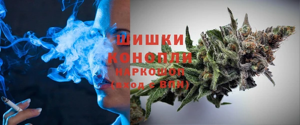 прущие грибы Аркадак