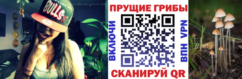 Псилоцибиновые грибы MAGIC MUSHROOMS  Пушкино 